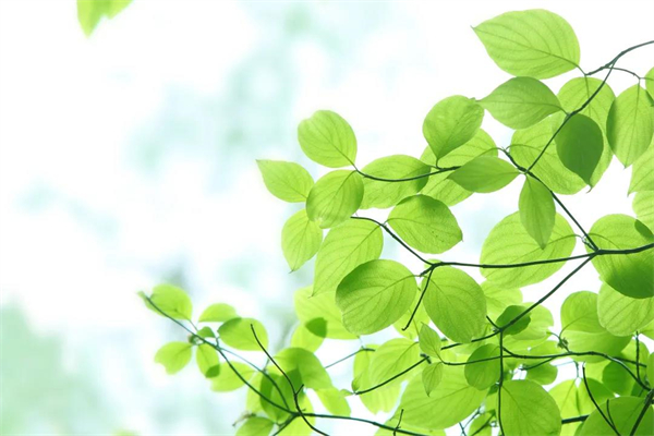 雅晟门窗告诉你房子楼层低光线不好应该怎么办