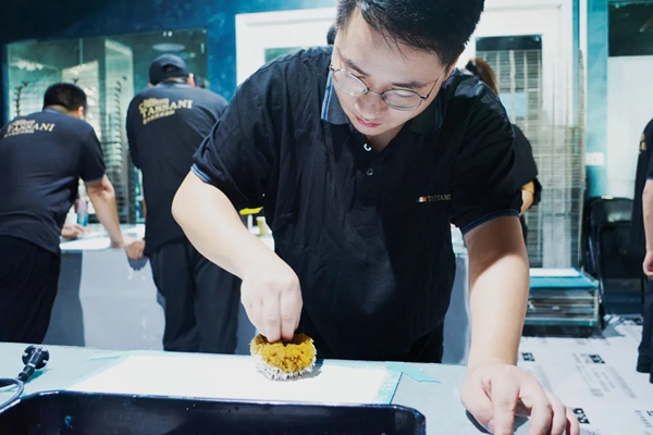 TASSANI塔萨尼艺术涂料▏凹凸空间第32期培训开启,以意式匠心为终端赋能 TASSANI塔萨尼艺术涂料▏凹凸空间第32期培训开启,以意式匠心为终端赋能