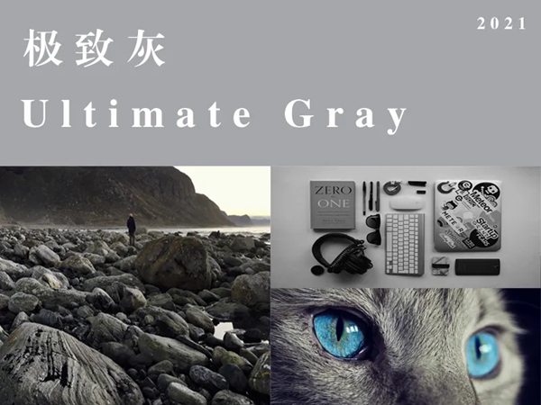 意库马艺术涂料2021年度流行色出炉,给予家装季全新灵感