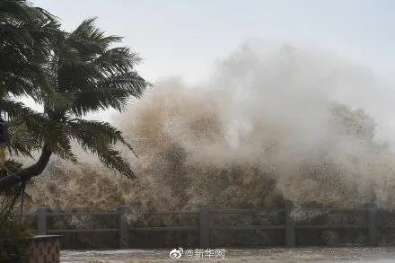 老赖不赖门窗：超强台风“圆规”今日登陆，为家保驾护航