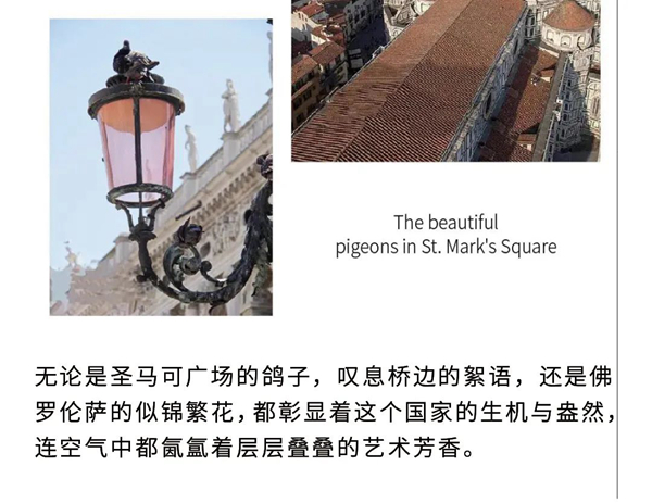 浙派集成灶：原来欧洲文化艺术是这样融入烹饪的！