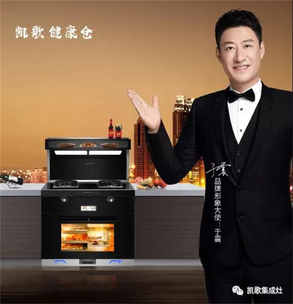 凯歌安全集成灶坚守品质 安全健康有保障