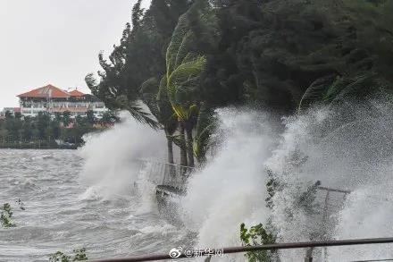 老赖不赖门窗：超强台风“圆规”今日登陆，为家保驾护航