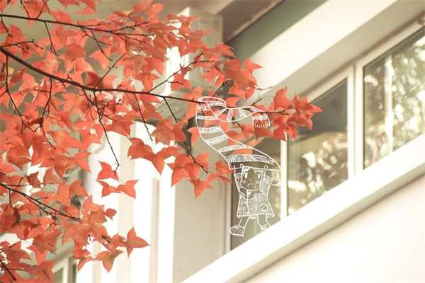 富轩全屋门窗丨秋雨后开启“家居保温节能”模式