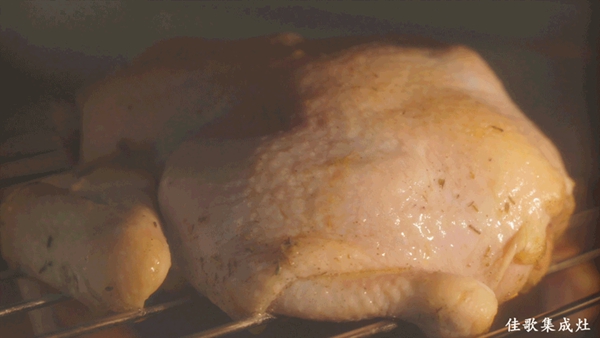佳歌集成灶|操作简单功能齐全的专业烤箱在哪里？