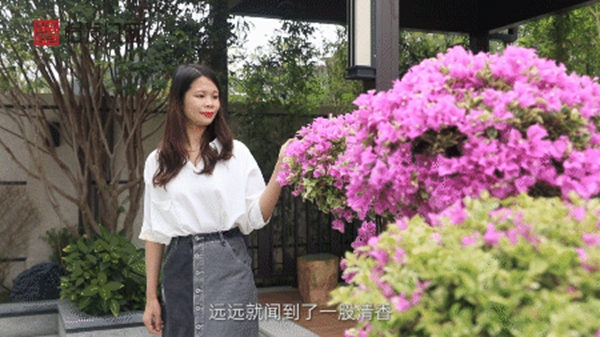 怡发门窗|别墅建个梦中的花园，有多撩人？