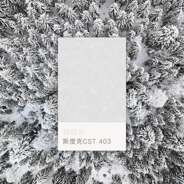 蔻帝COLDEC墙面定制|这个冬天，用色彩迎接第一场雪