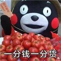帕斯沃系统门窗丨每个选择的出发点 都应该是喜欢