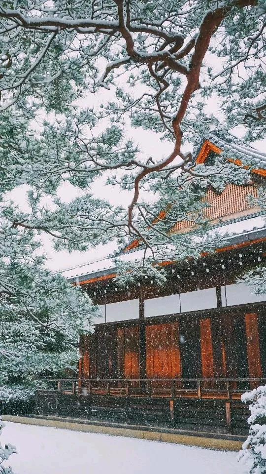 富轩全屋门窗：迎冬看雪，窗明知雪落，园中忽已冬！
