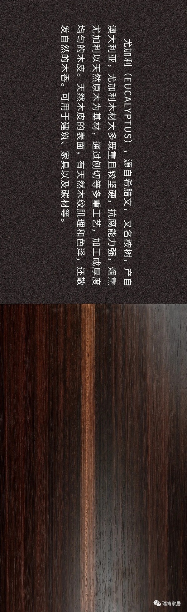 瑞肯家居：烟熏尤加利 梦境中的新宠儿