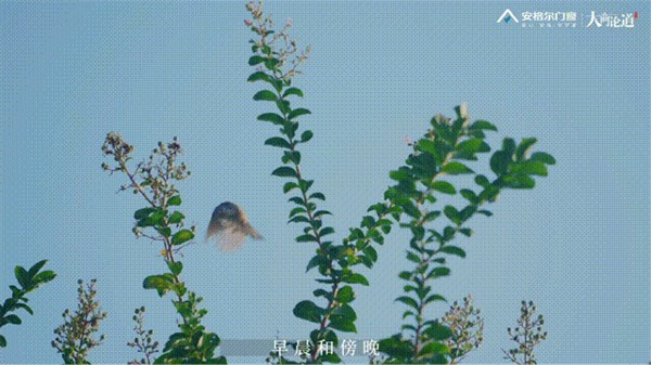 安格尔门窗丨惠州罗浮山独栋四合院案例 安格尔门窗丨惠州罗浮山独栋四合院案例