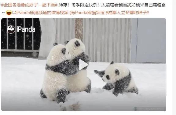 富轩全屋门窗：迎冬看雪，窗明知雪落，园中忽已冬！