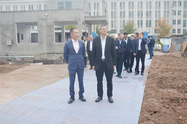 嵊州市委书记徐建役赴企调研！金帝集成厨房产业园项目投产引关注