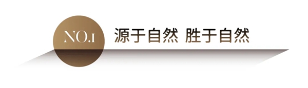 科技造就自然之美 | 关于莫干山全屋定制科技木的这几件事,你一定要知道!