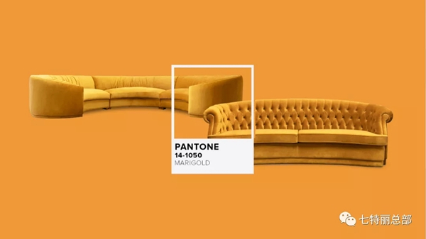 七特丽 | 潘通PANTONE 2022春夏十大流行色，get色彩抢先一步！