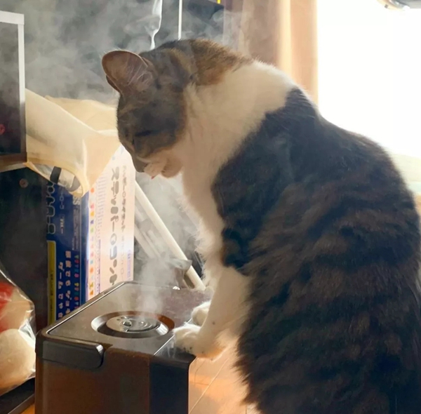 艾高家居|你家很有品，但却总有扫不完的灰尘！