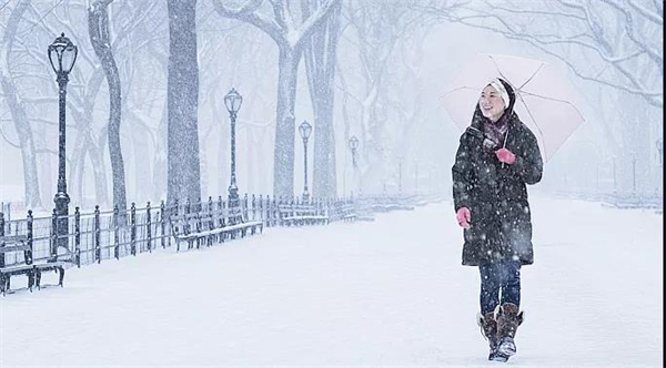 博格门窗：冬风舞小雪，屋中暖如春。