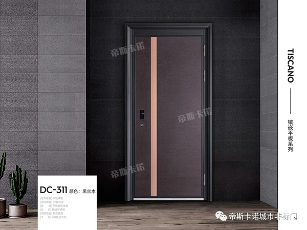蒂斯卡诺精工入户门:解锁家的多种打开方式