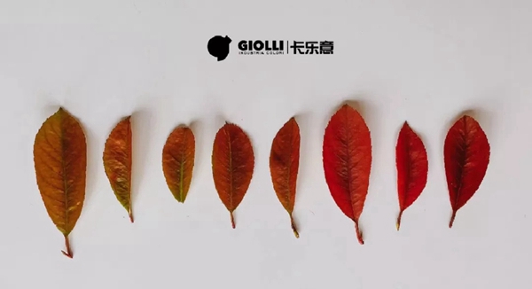 卡乐意GIOLLI意大利原罐原装进口墙面定制|橙意渐浓，秋来温暖