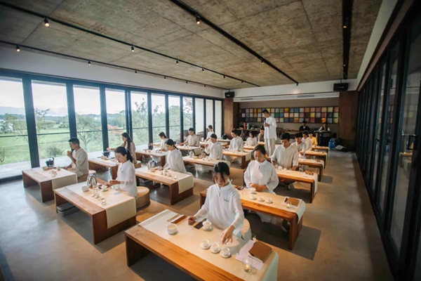 贝克洛系统门窗 | 精品案例—隐藏于山林田野间，小屋晴居
