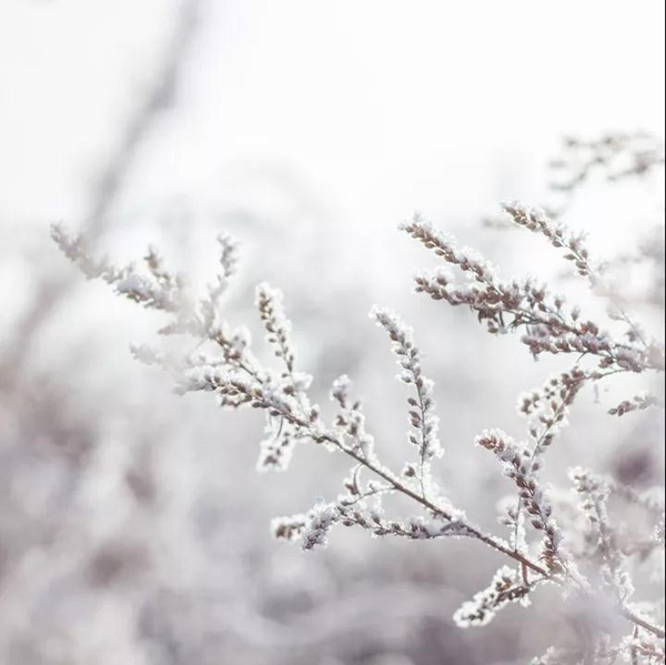 林源智慧家居 | 小雪将至，为您守护舒适温暖家！