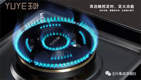 玉叶集成灶：把自然带回厨房，让心情每一天都像在度假！