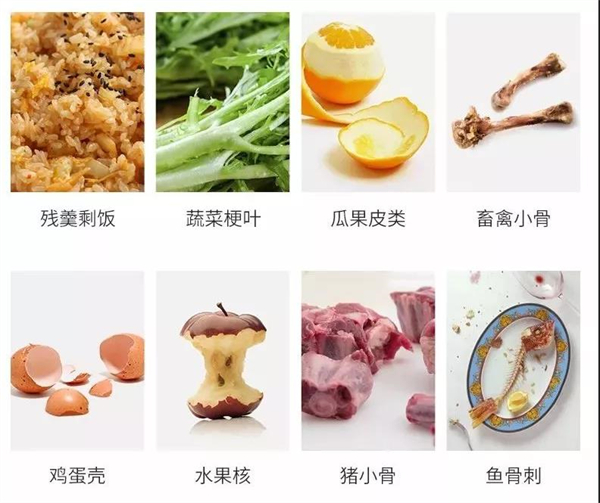 佳歌集成灶：幸福感爆棚的厨房，离不开这些好物！