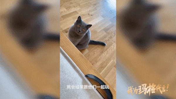 玛格全屋定制|这套135㎡现代简约两房，不得不感叹这届年轻人真会玩~