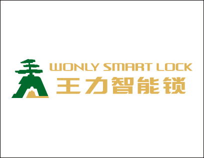 王力智能锁