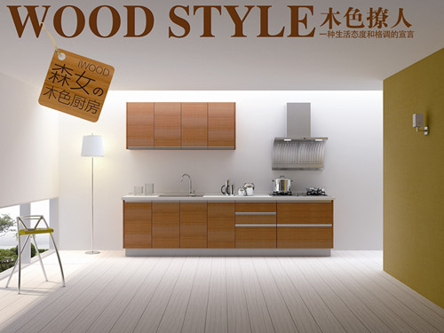 金牌橱柜：IWOOD STYLE 生活的宣言