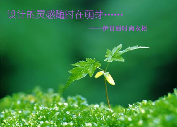 伊百丽：一场关于实用性与美观性的讨论带给衣柜设计的启示