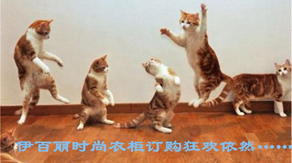 双十一之后，伊百丽衣柜让你一次爱个够