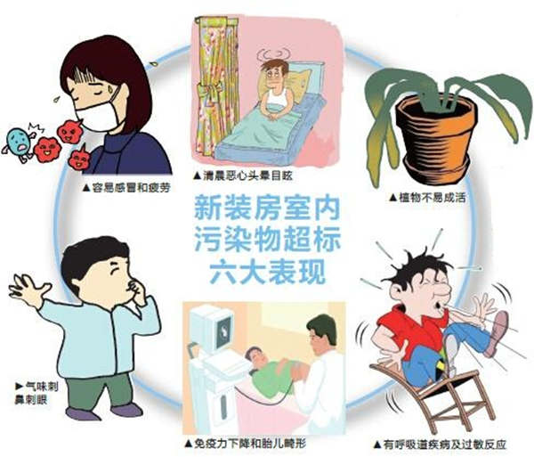 顶固生态门：关注家庭健康，拒绝室内污染！
