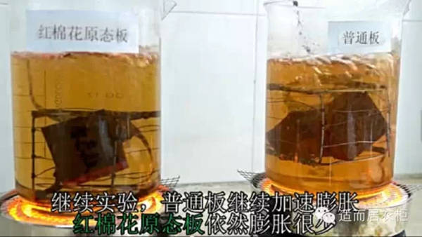 适而居：红棉花原态板与普通板沸水煮的对比实验