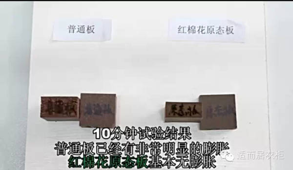适而居：红棉花原态板与普通板沸水煮的对比实验