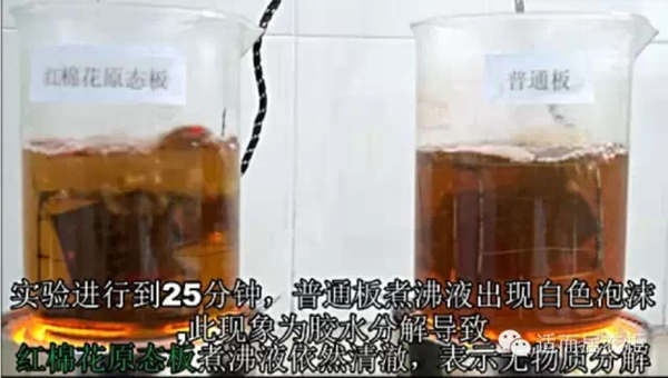适而居：红棉花原态板与普通板沸水煮的对比实验