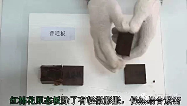 适而居：红棉花原态板与普通板沸水煮的对比实验