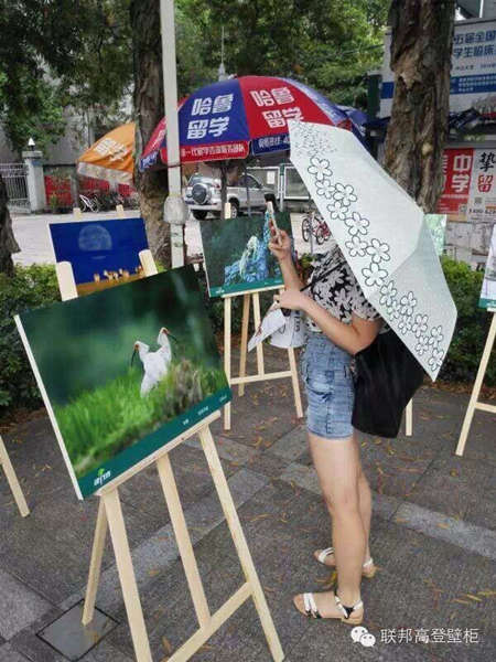 联邦高登——致绿行者用影像保护自然公益高校行（中大站）