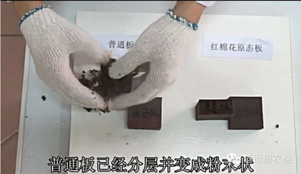 适而居：红棉花原态板与普通板沸水煮的对比实验