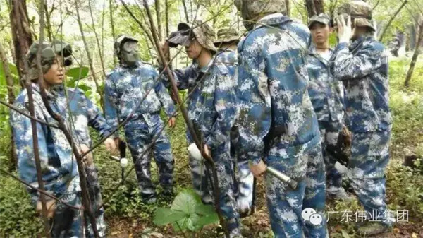 伟业2015年销售精英拓展训练圆满成功！ 