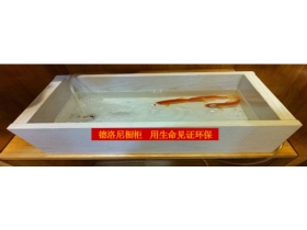 德洛尼品牌倡导厨房防水新革命