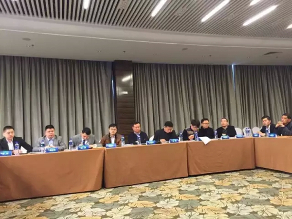 莱茵艾格荣获全国大家居服务体系之“定制100”引领计划副会长单位