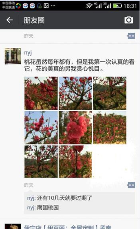 二月桃花艳，醉美伊百丽