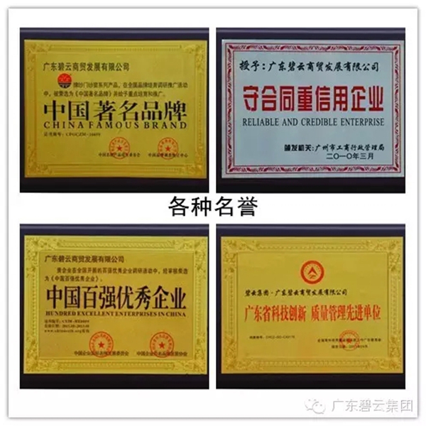 广东碧云获评“消费者喜爱品牌”殊荣 广东碧云获评“消费者喜爱品牌”殊荣