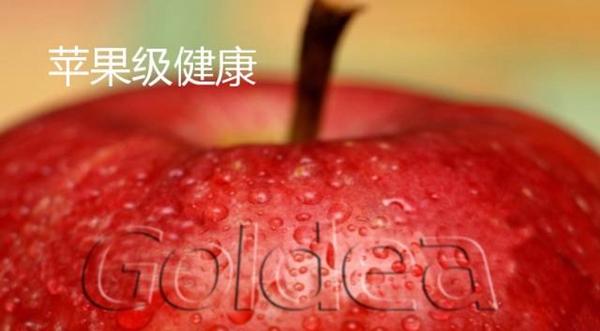 金迪木门问鼎中国建博会（广州），再创高端实木门新冠军！