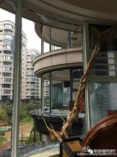 帕莱德门窗手帕联盟第二季竟比台风来得更猛烈