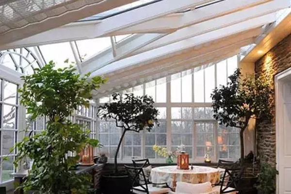 近日，气温逐渐下降，你会想念冬日里暖阳吗？
