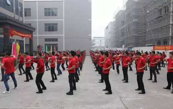 怡发门窗第一届咏春拳大赛圆满结束！高手云集，巅峰对决，谁是下一代“宗师”？ 