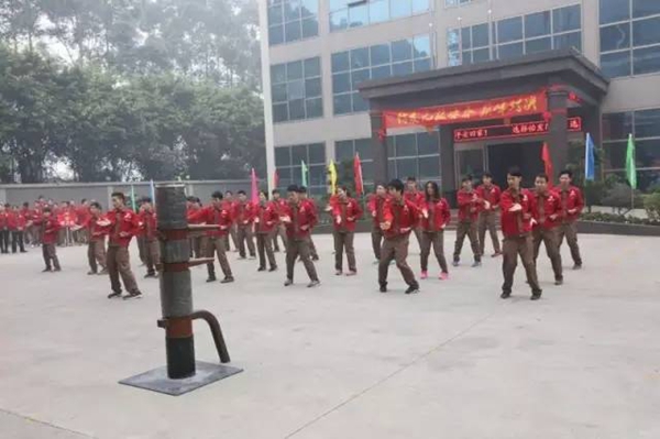 怡发门窗第一届咏春拳大赛圆满结束！高手云集，巅峰对决，谁是下一代“宗师”？ 