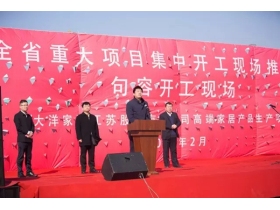 2017江苏省重大项目推进会暨大洋家居新厂建设开工奠基